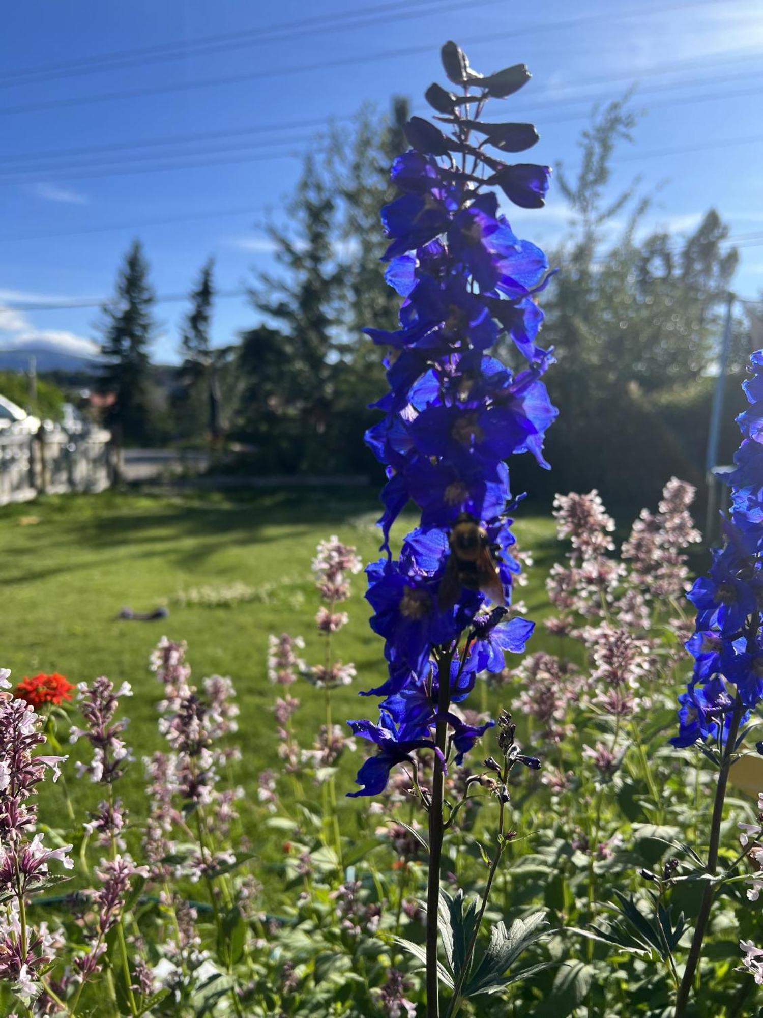 Whitehorse Home On The River ภายนอก รูปภาพ